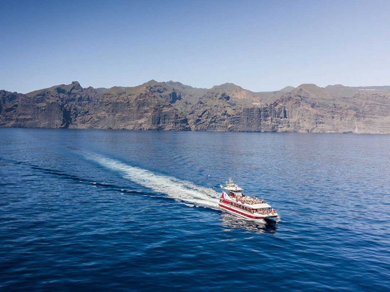 excursión marítima con el Tenerife Dolphin