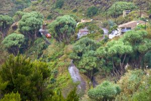 Senderos de La Palma por el GR130 de Barlovento hacia Gallegos