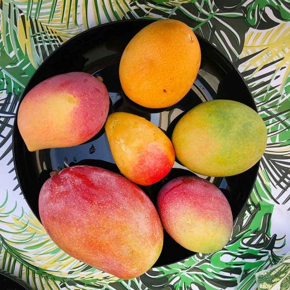 Mangomania Finca Ecológica en La Palma
