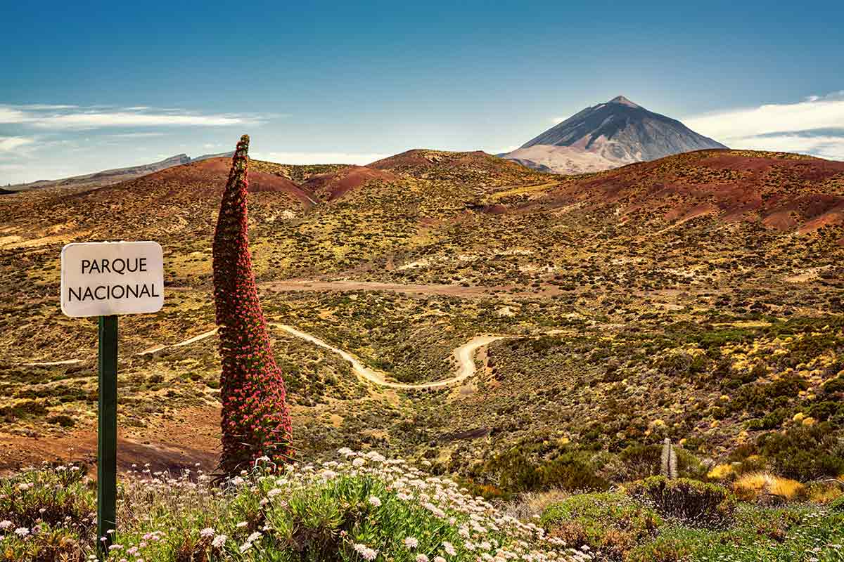 Tenerife Parque nacional senderismo GR131
