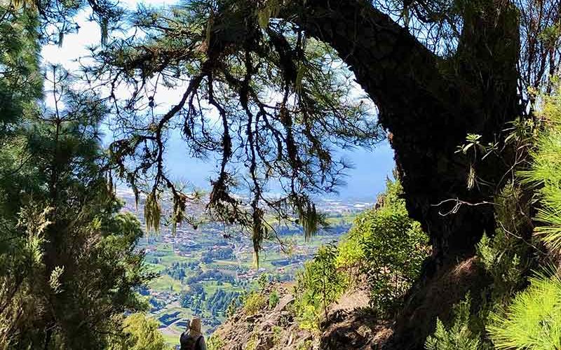 La Palma - LP1 reventón a la ermita de virgen del pino