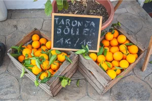 Mallorca - Orangen aus Soller