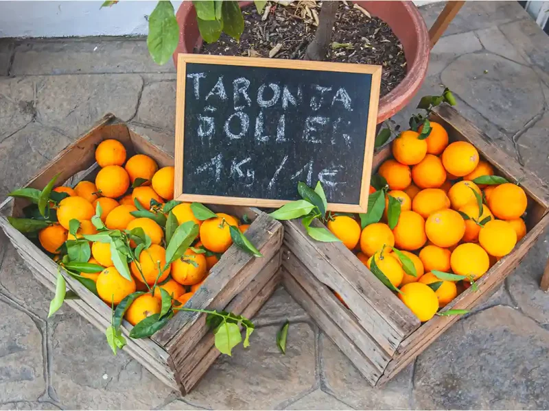 Mallorca - Soller Naranjas