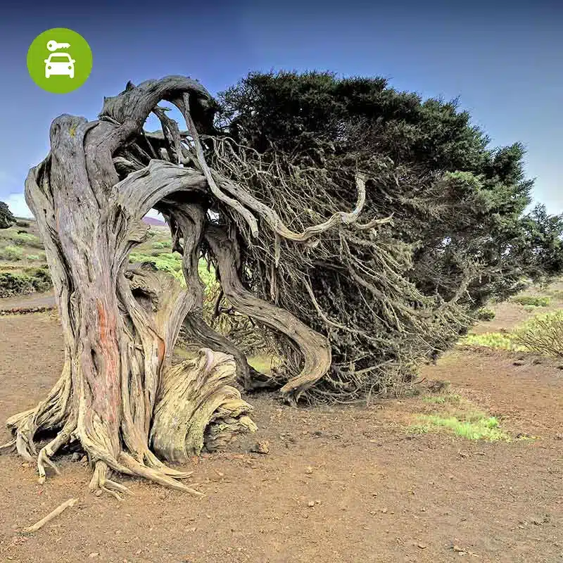 El Hierro Esencial - NATOUR Programa de senderismo con coche de alquiler