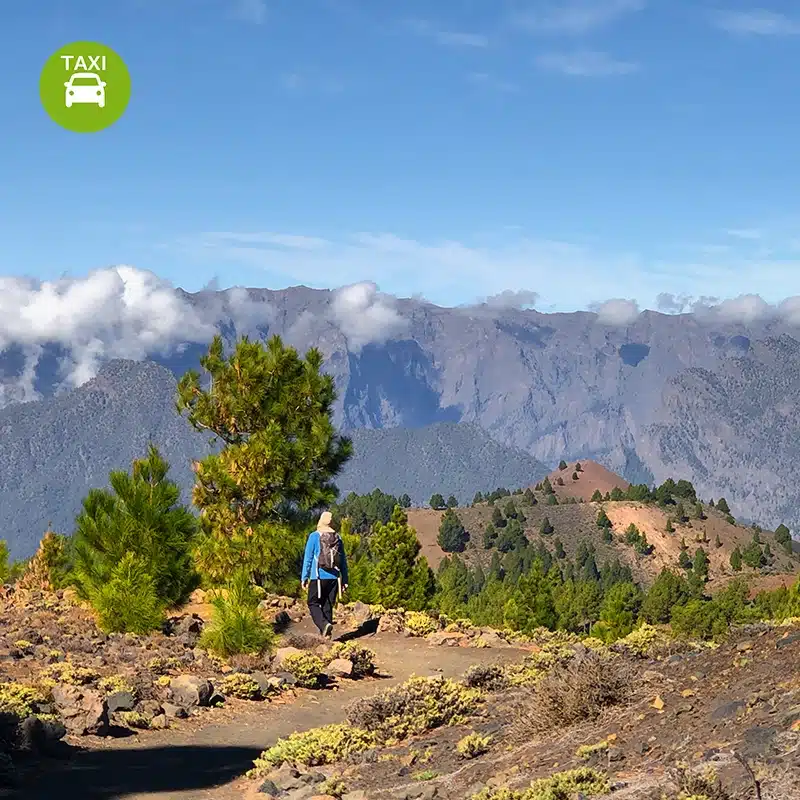 La Palma Highlight