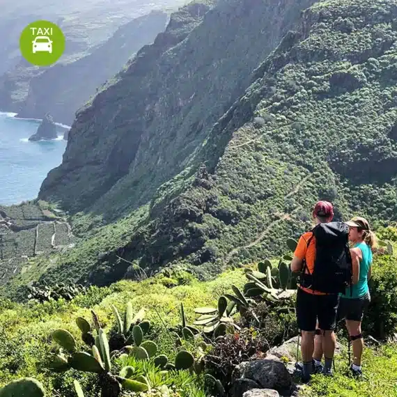 La Palma Real