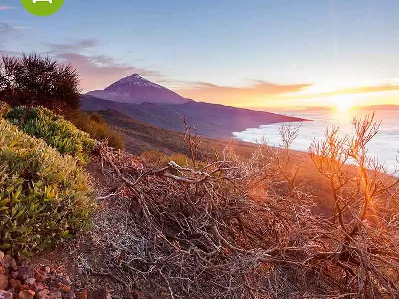 Tenerife GR131