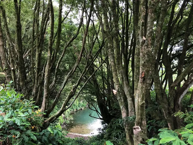 Sao Miguel Azores con Natourtravel