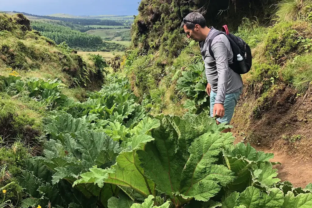 Sao Miguel Azores con Natourtravel