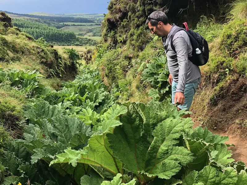 Sao Miguel Azores con Natourtravel