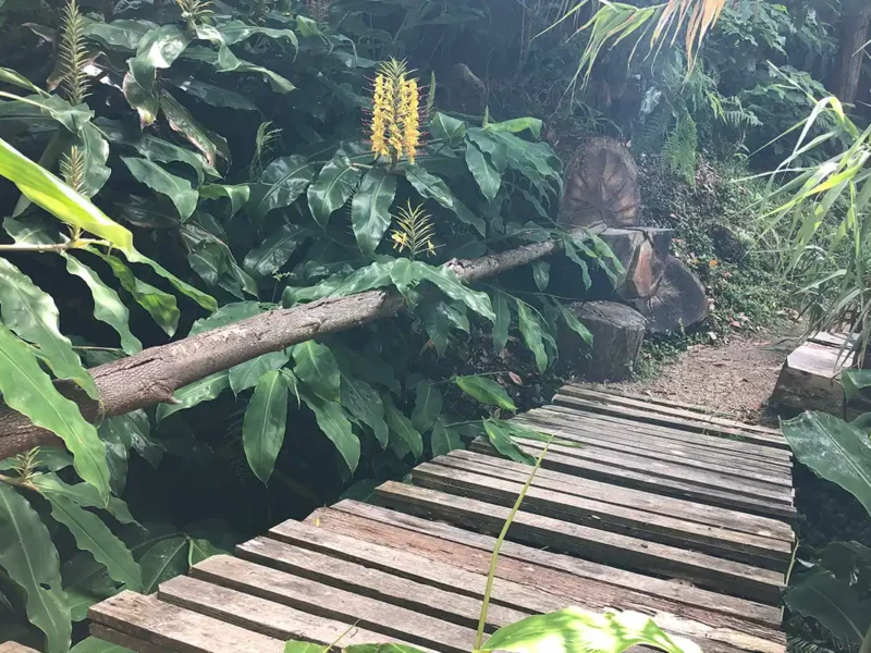 Sao Miguel Azores con Natourtravel