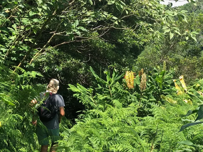 Sao Miguel Azores con Natourtravel