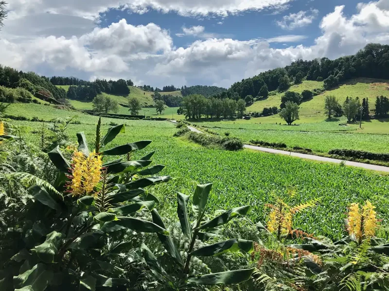 Sao Miguel Azores con Natourtravel