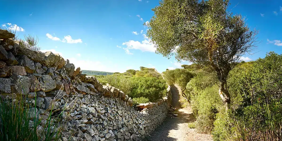Cami de Cavalls-03