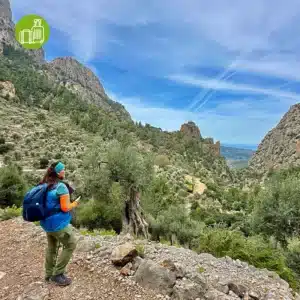 Sierra de Tramuntana