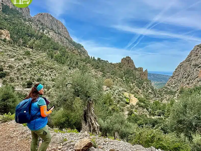 Sierra de Tramuntana