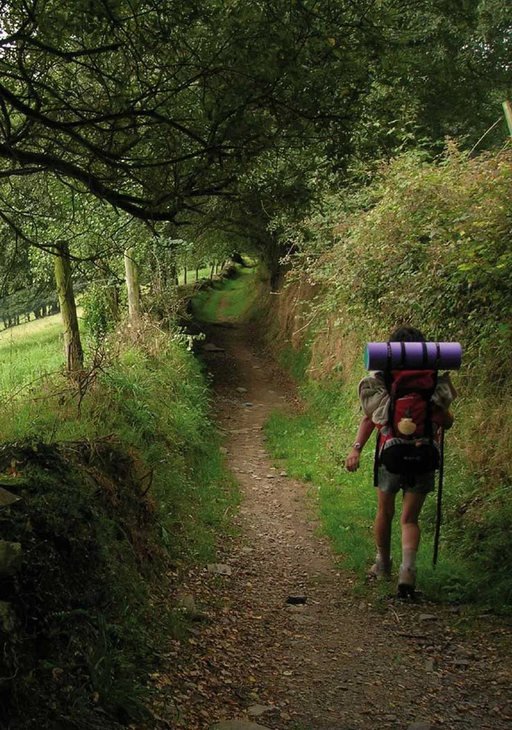 camino primitivo